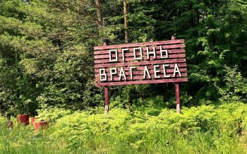 Минлесхоз напомнил о пожарной безопасности в лесах