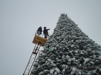 Выброшенные новогодние ёлки в Нижнем Новгороде переработают в опилки для зоопарка &quot;Лимпопо&quot;