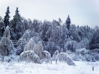 В Нижегородской области в ближайшие дни погода существенно не изменится
