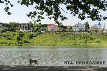 Власти опровергают информацию о стройке на нижегородском &quot;Щелоковском хуторе&quot;