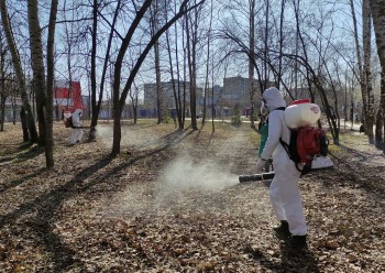 Противоклещевую обработку провели в Светлоярском парке