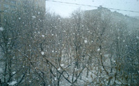 В Нижегородской области в ближайшие дни ожидается облачная погода, небольшой снег