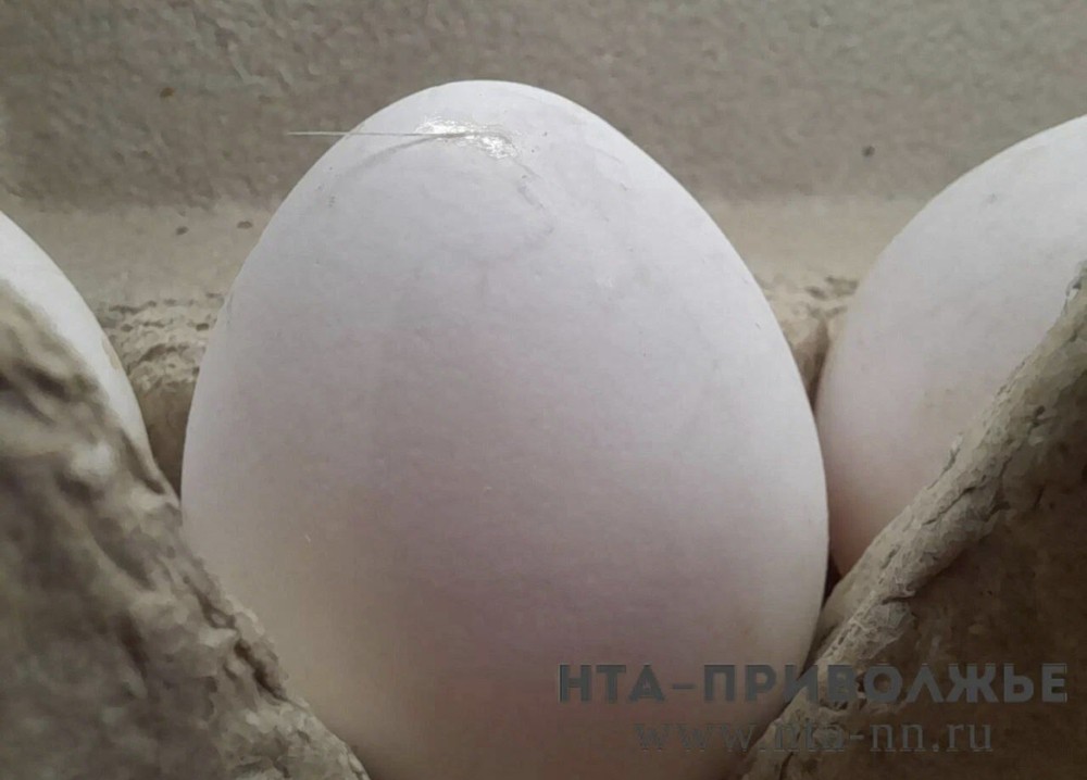 Поддержка животноводства Чувашии достигла 696 млн рублей за год