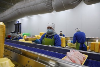 Масштабный проект по производству мяса птицы стартовал в Нижегородской области