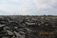 Экологи обратились в прокуратуру по фактам сброса в Шуваловское озеро асфальта и бетона, демонтированных с Молитовского моста в Нижнем Новгороде