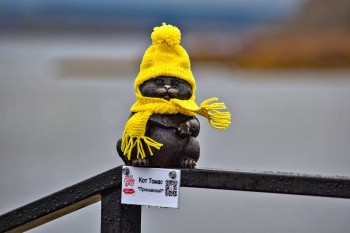 Сарапульских котов вновь утеплили к зиме в Удмуртии Сарапульских котов вновь утеплили к зиме в Удмуртии