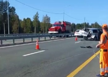 Восемь человек погибли в ДТП на М-12 в Нижегородской области