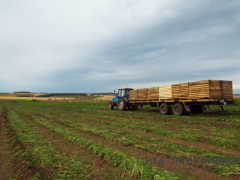 Минсельхоз представил предложение о выделении дополнительного финансирования на льготное кредитование АПК