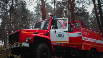 Нижегородская область признана готовой к пожароопасному сезону