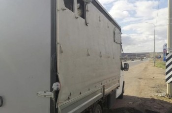 Нелегальную перевозку 1 тысячи кур-молодок пресекли в Мордовии