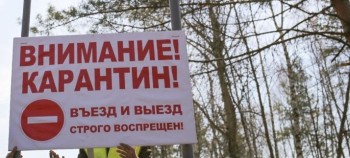 Карантин по бешенству ввели в кировской деревне