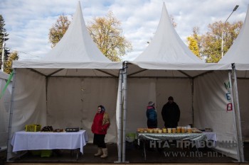 Весенний сезон продовольственных ярмарок стартует в Ульяновске 15 марта