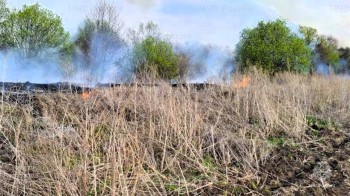 Крупный природный пожар локализован в Алатырском округе 