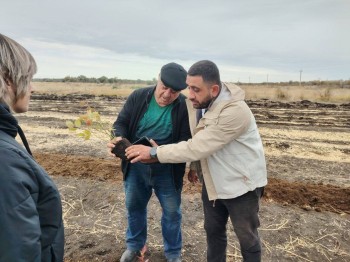 Голубику будут выращивать в Волжском районе Самарской области