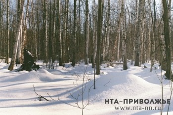 Средняя температура в феврале в Нижегородской области ожидается на 1 градус выше нормы