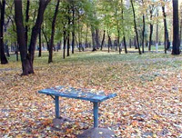 Прокуратура Н.Новгорода направила в суд заявление о признании недействующим постановления гордумы об изменении зонирования парка &quot;Дубки&quot;