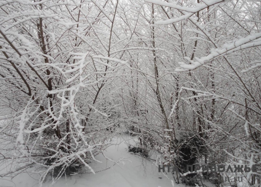 Народные приметы: 12 декабря