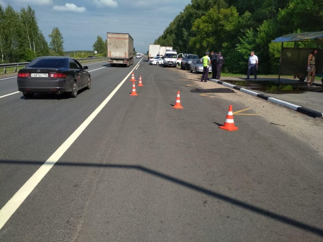 Девятилетняя девочка погибла под колёсами грузовика в Нижегородской области 