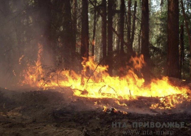 Пожароопасный режим введут в Прикамье с 30 апреля Пожароопасный режим введут в Прикамье с 30 апреля