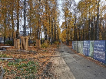 Общественный совет предлагает использовать в нижегородском парке &quot;Швейцария&quot; экологичную уборочную технику на электроприводе