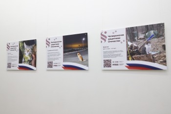 Фотовыставка «Четвероногие защитники Отечества» открылась в Нижнем Новгороде