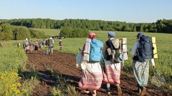 100 паломников пострадали от клещей во время Великорецкого крестного хода 100 паломников пострадали от клещей во время Великорецкого крестного хода