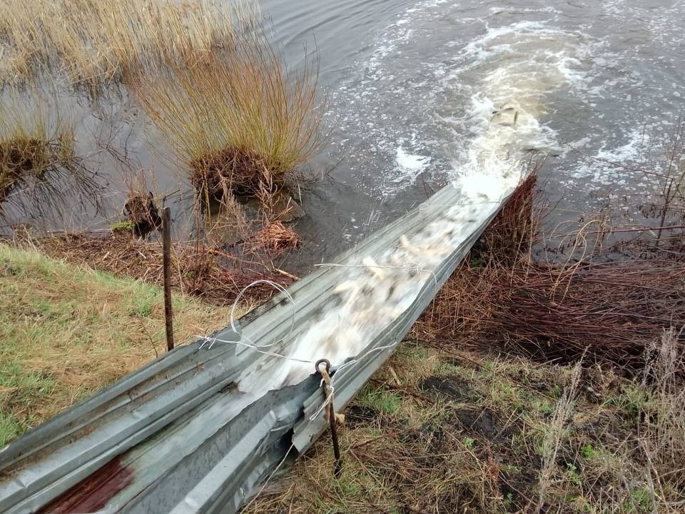 В Нижегородской области стартовал осенний этап зарыбления В Нижегородской области стартовал осенний этап зарыбления