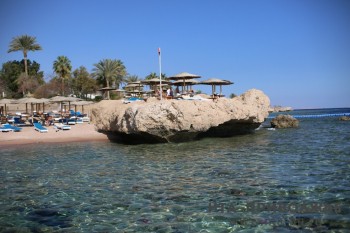 "Вывозных" рейсов туристов из ОАЭ не планируется