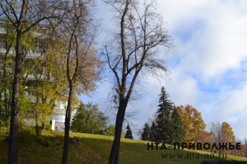 Синоптики прогнозируют прекращение дождей в Нижегородской области со вторника