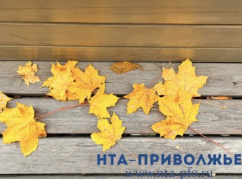 Народные приметы: 20 октября