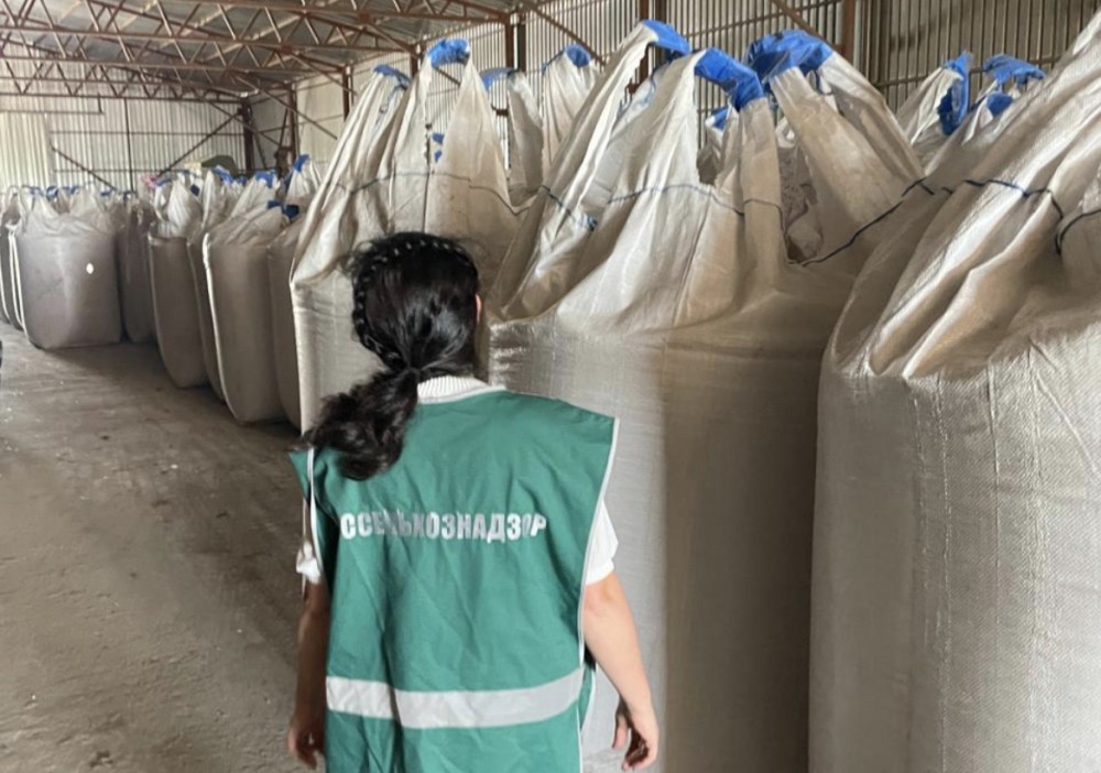 Чувашия в пять раз нарастила международный экспорт семян горчицы