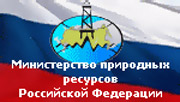 Минприроды РФ проведет внеплановую проверку выполнения требований природоохранного законодательства в Н.Новгороде