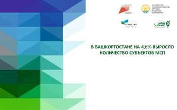 Количество субъектов МСП в Башкирии увеличилось на почти 4,6% 