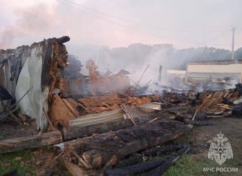 Пятеро погибли при пожаре на ферме в Песчаном Оренбургской области
