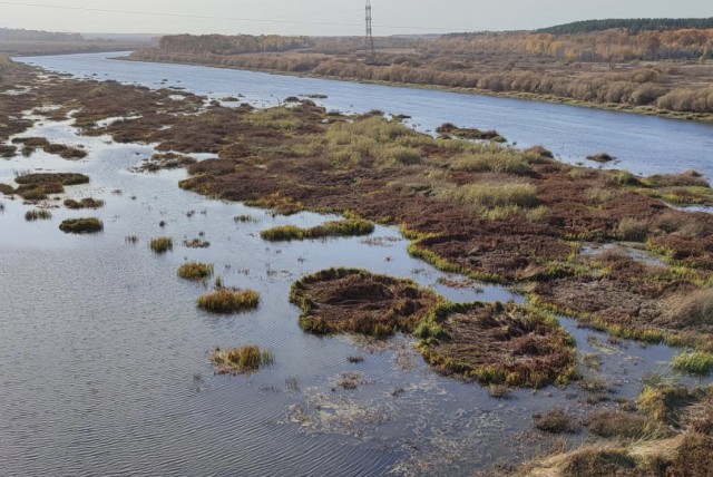 Русло Пижмы расчистят вблизи Советска Кировской области