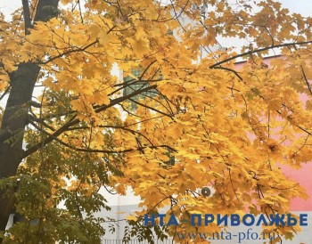 Народные приметы: 2 октября Народные приметы: 2 октября