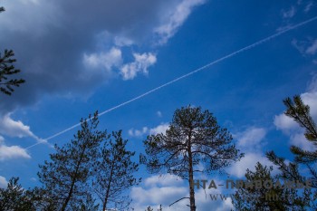 Самолеты малой авиации приступили к патрулированию лесов Нижегородской области в пожароопасный период