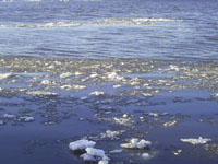 Рыбохозяйственный совет Нижегородской области одобрил распределение квот на 2011 год 
