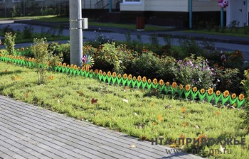 Правила благоустройства планируют расширить в Самаре Правила благоустройства планируют расширить в Самаре