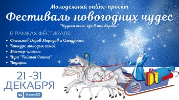 Виртуальный &quot;Фестиваль новогодних чудес&quot; пройдет в Нижнем Новгороде 21 - 31 декабря
