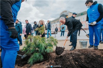 Второй этап озеленения Красной площади начали в Чебоксарах