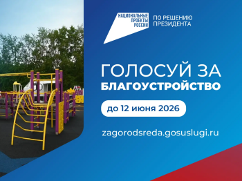 Более 160 тысяч нижегородцев проголосовали за благоустройство