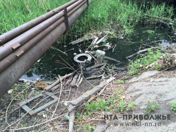 Более 37 млн рублей выделят Нижегородской области на расчистку русла реки Борзовка в этом году