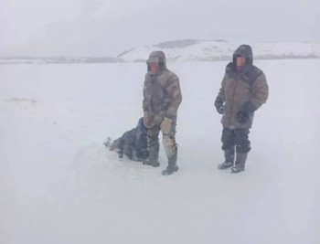 Замерзающего на Каме мужчину спасли в Удмуртии