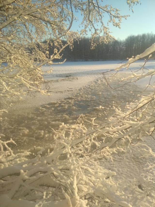 Двоих рыбаков спасли из полыньи в Нижегородской области