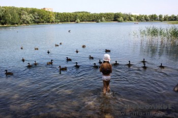Родительские патрули будут контролировать безопасность детей на водоёмах в Кировской области