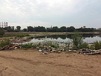 Свалка мусора и строительных отходов обнаружена в водоохранной зоне пойменных озер на Артемовских лугах в Нижнем Новгороде
