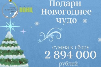 Фонд &quot;НОНЦ&quot; призывает нижегородцев присоединиться к акции &quot;Подари новогоднее чудо&quot;
