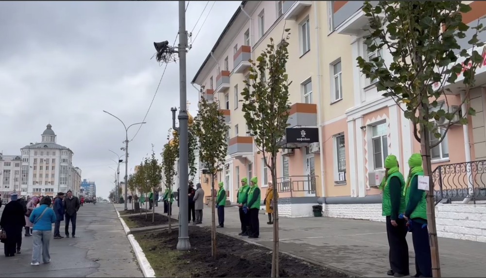 Аллею городов Поволжья высадили в Саранске