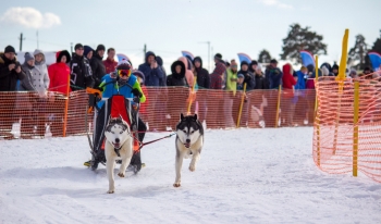 Около 10 тысяч человек приняли участие в гонках на собачьих упряжках &quot;Зимняя сказка&quot; в Нижегородской области